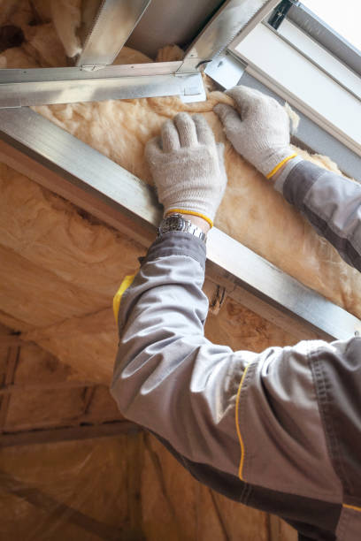 Best Commercial Insulation in Pebble Creek, FL